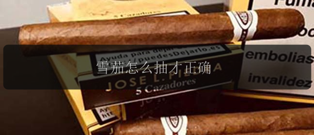 雪茄怎么抽才正确