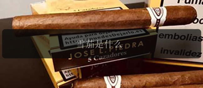 雪茄是什么