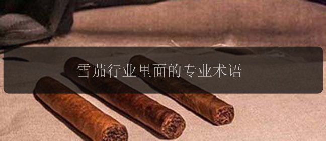 雪茄行业里面的专业术语