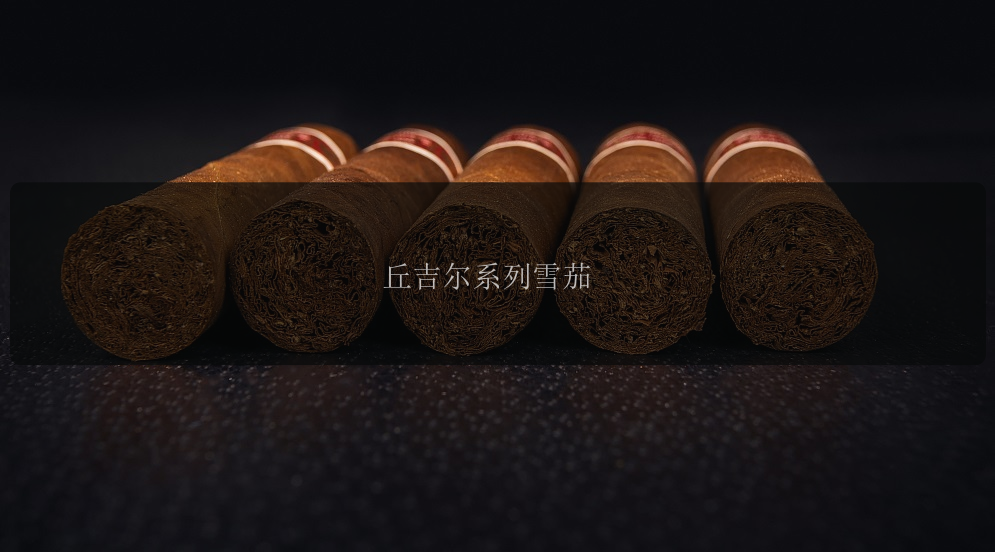 丘吉尔系列雪茄